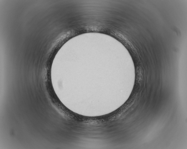 X0000112870738200910021332