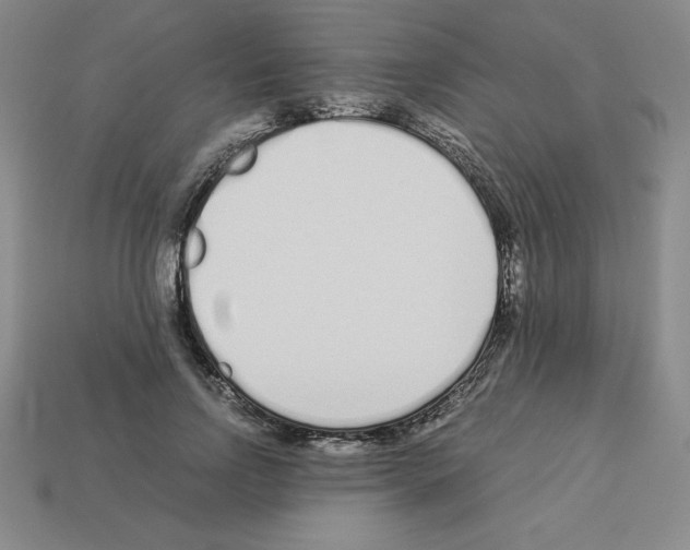 X0000112870742200910021332