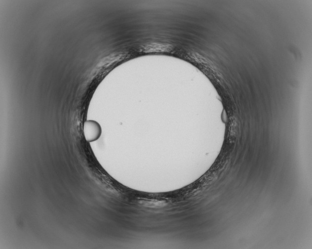 X0000112870743200910021332