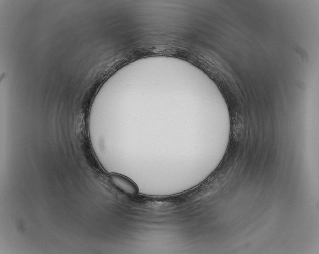 X0000112870748200910021332