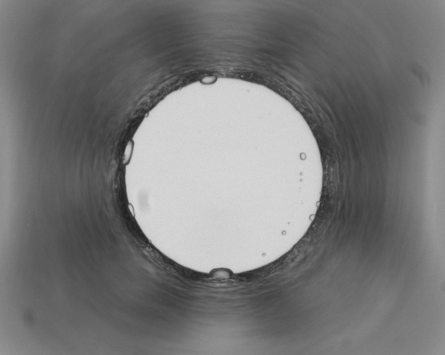 X0000112870750200910021332