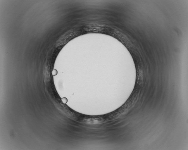 X0000112870751200910021332