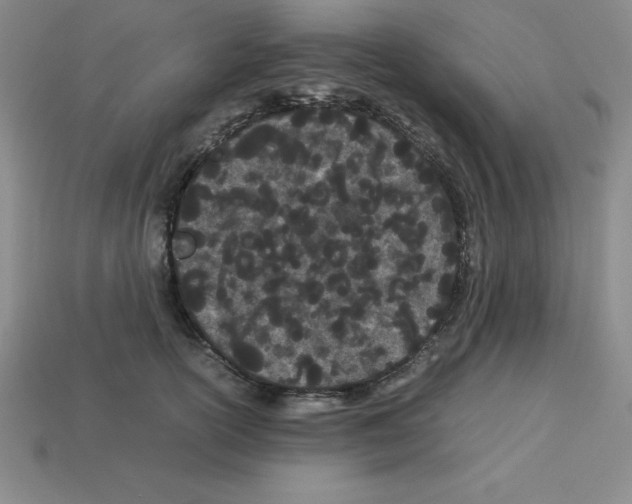 X0000112870754200910021332