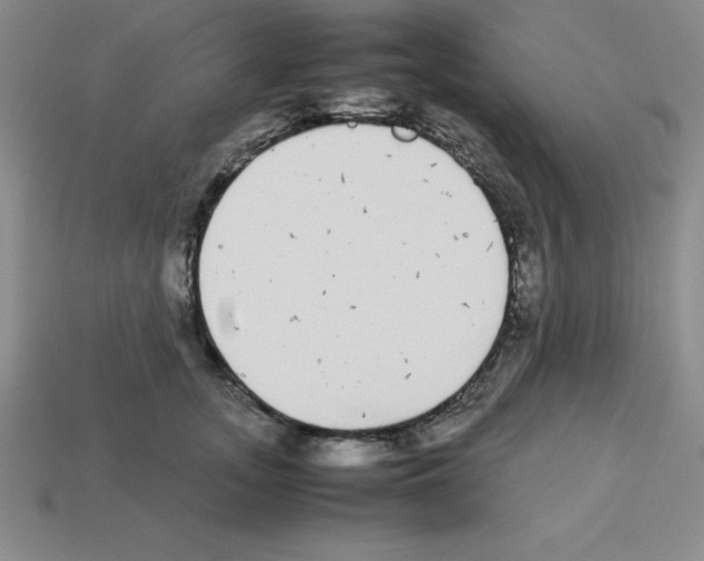 X0000112870755200910021332