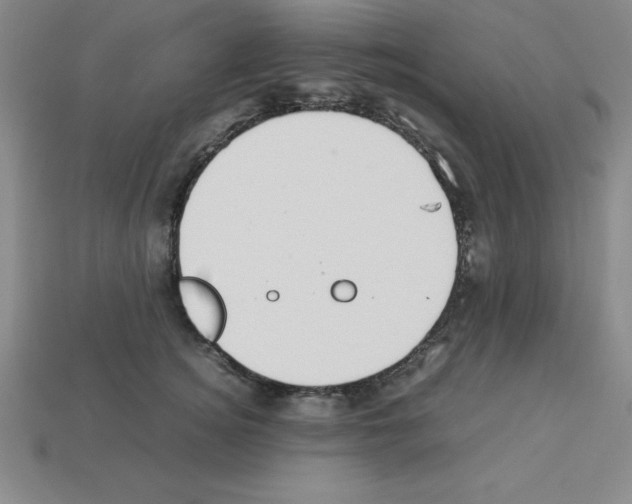 X0000112870756200910021332