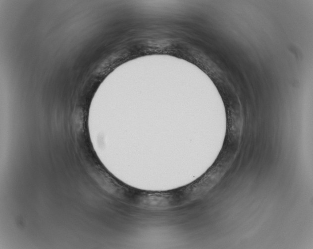 X0000112870758200910021332