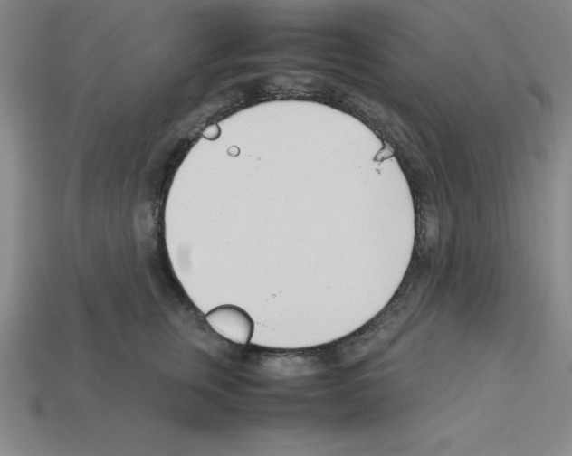 X0000112870759200910021332