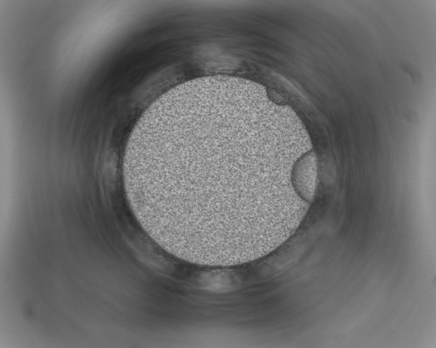 X0000112870761200910021332