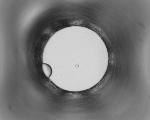 X0000112870763200910021332