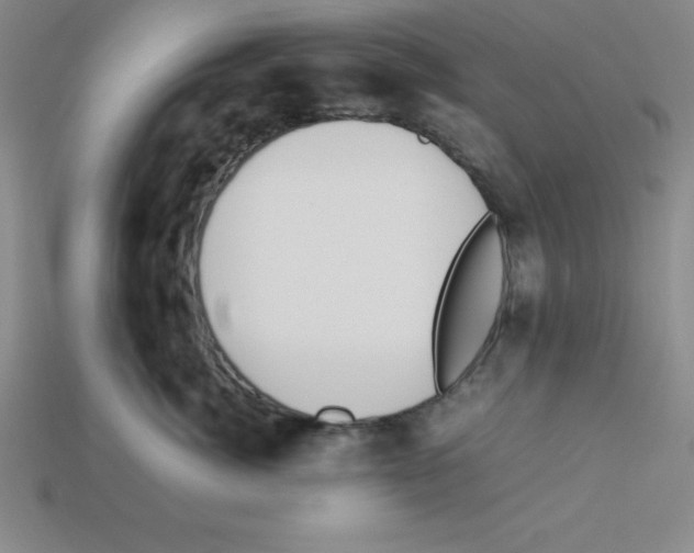 X0000112870764200910021332