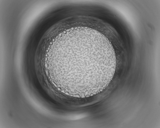 X0000112870765200910021332