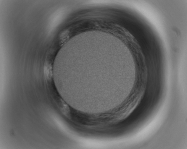 X0000112870766200910021332