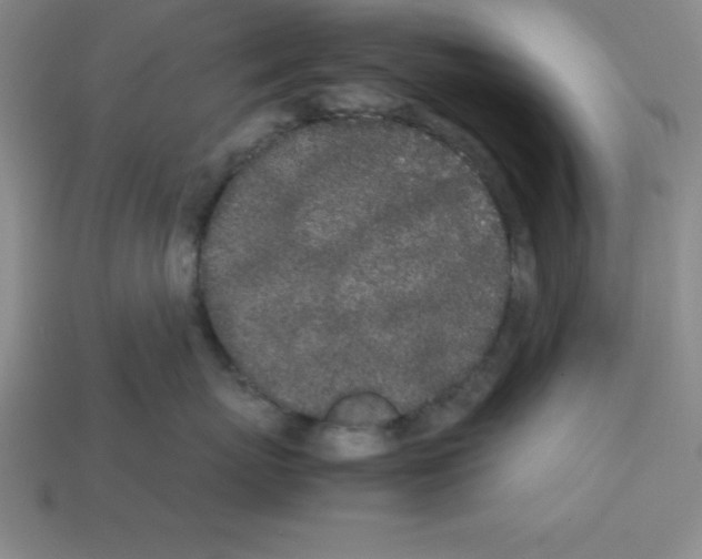 X0000112870767200910021332