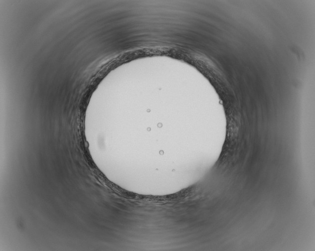 X0000112870773200910021332