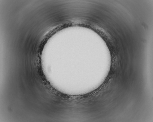 X0000112870776200910021332