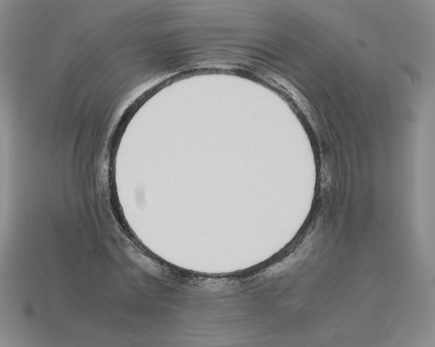 X0000112870779200910021332