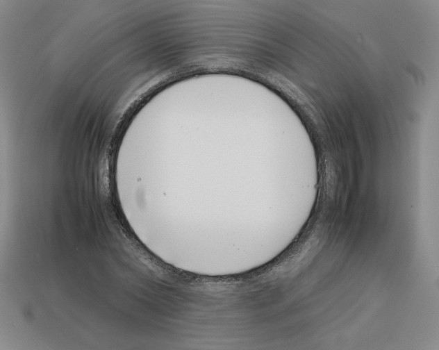 X0000112870782200910021332