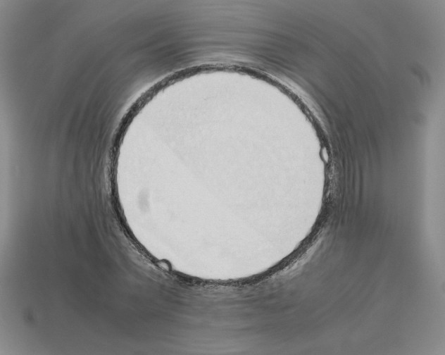 X0000112870783200910021332