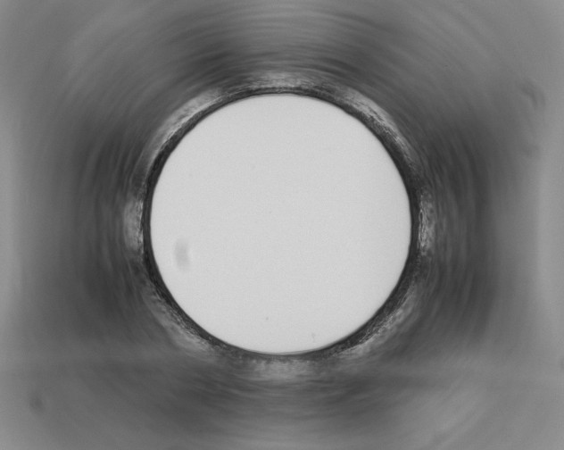 X0000112870786200910021332