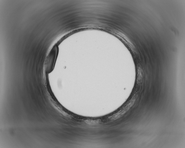 X0000112870788200910021332