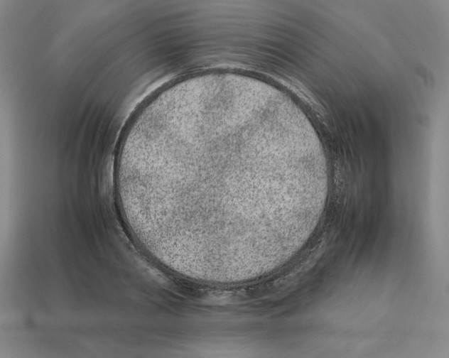 X0000112870790200910021332