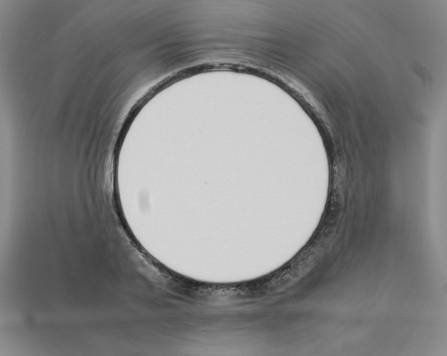 X0000112870791200910021332