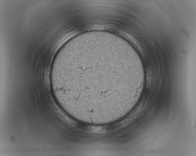 X0000112870794200910021332