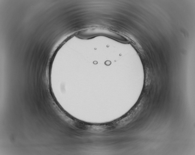 X0000112870796200910021332