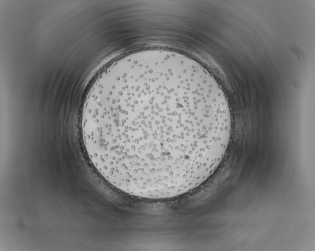 X0000112870798200910021332