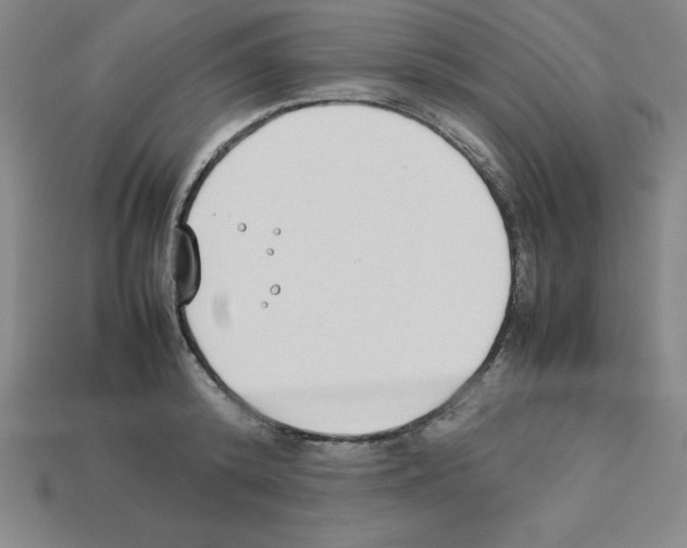 X0000112870800200910021331