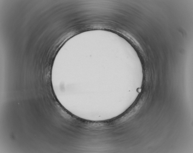 X0000112870801200910021331