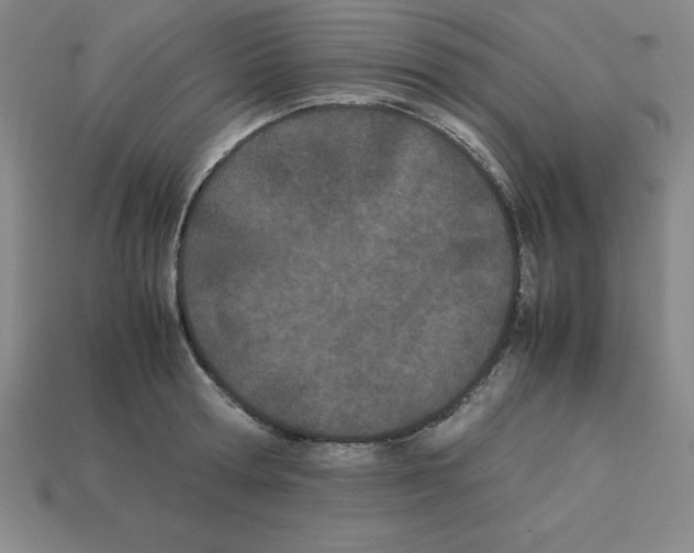 X0000112870802200910021331