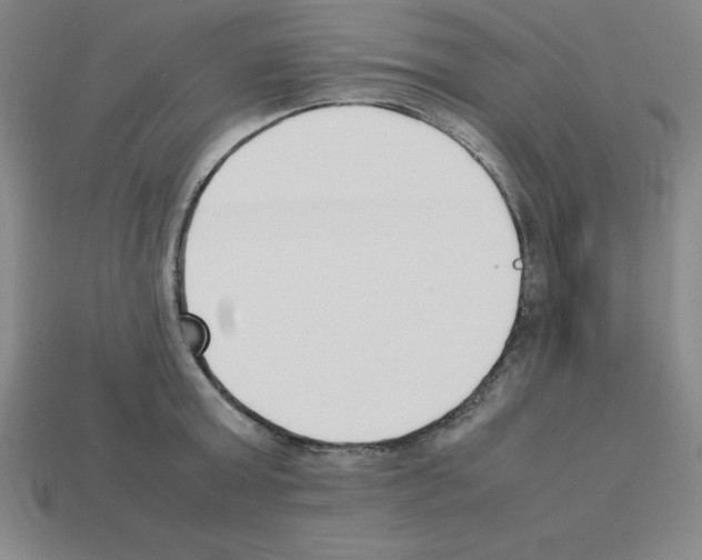 X0000112870803200910021331