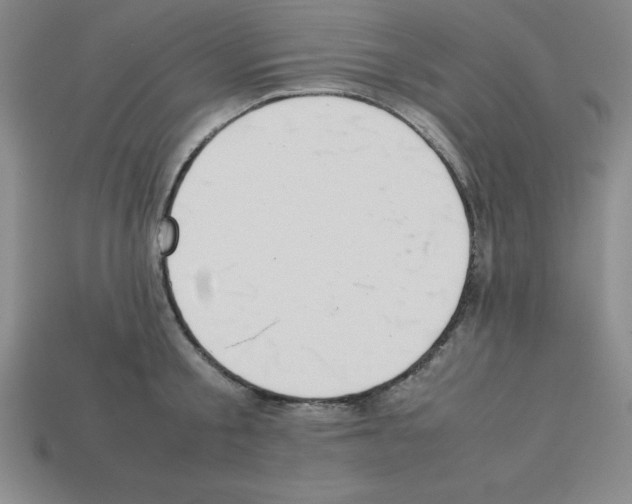 X0000112870805200910021331