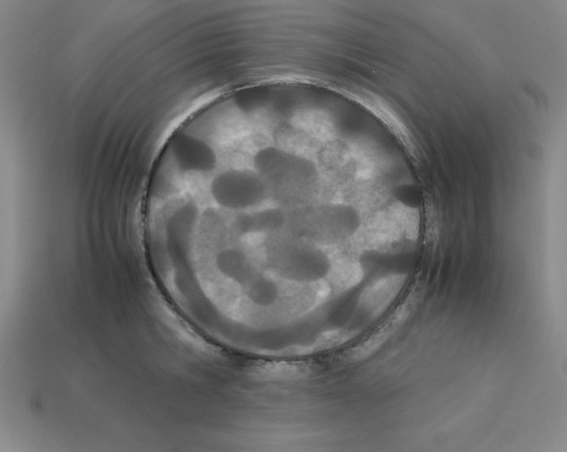 X0000112870806200910021331