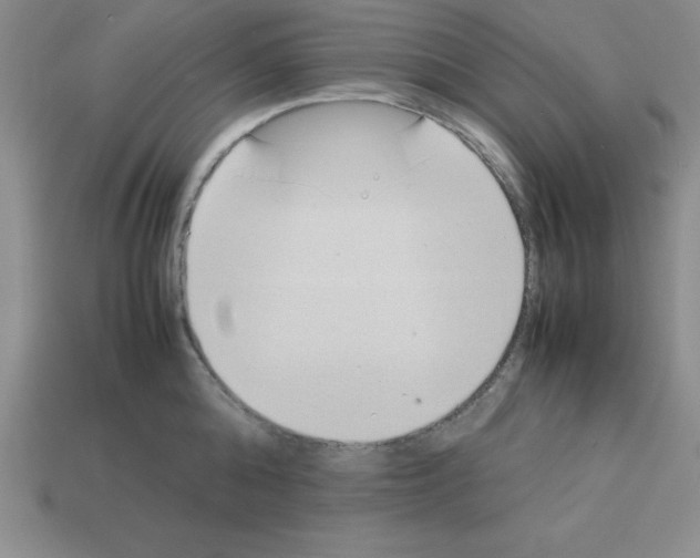 X0000112870808200910021331