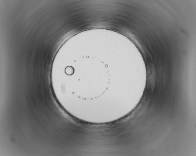 X0000112870810200910021331