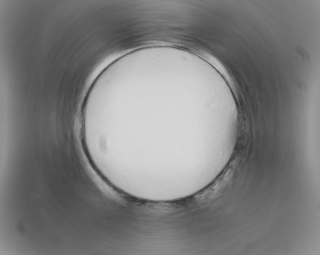 X0000112870811200910021331