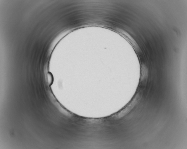 X0000112870812200910021331