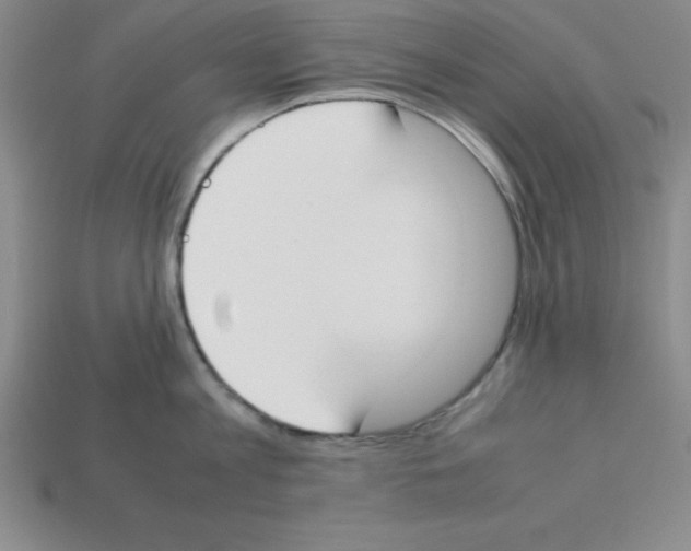 X0000112870813200910021331