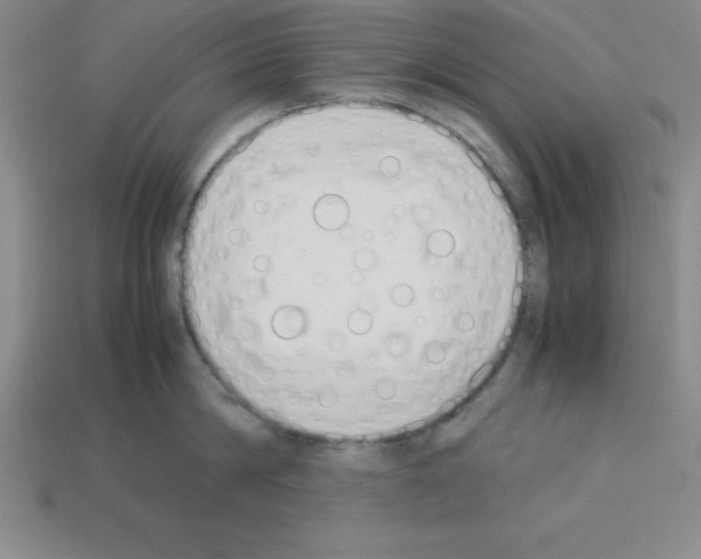 X0000112870814200910021331