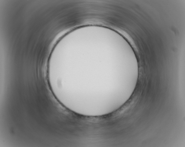 X0000112870815200910021331