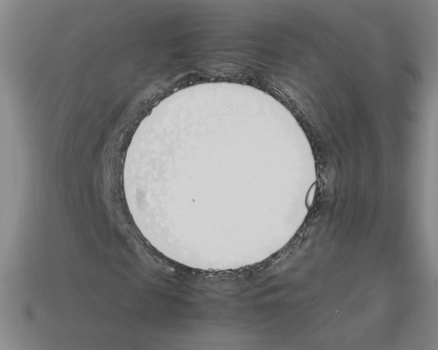 X0000112870817200910021330