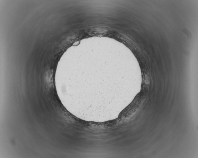 X0000112870818200910021331