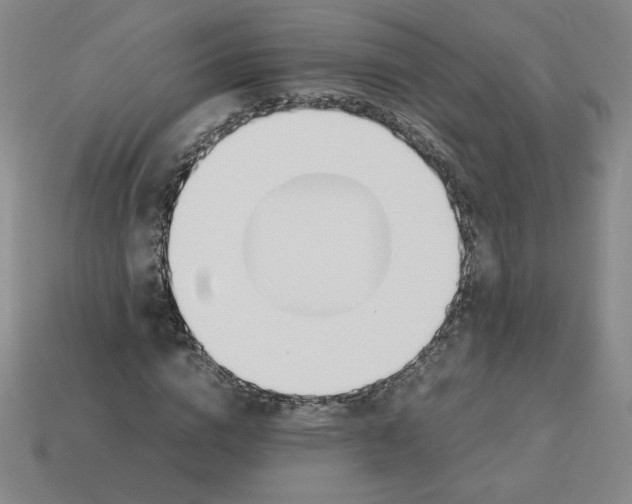 X0000112870824200910021331