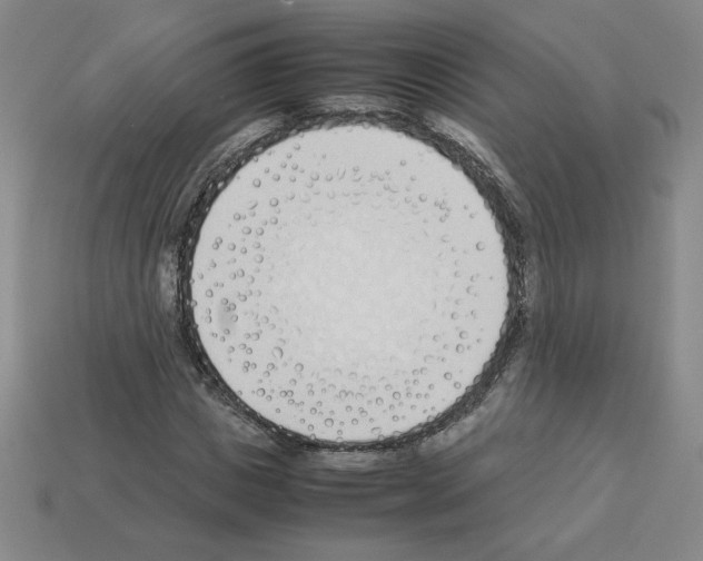 X0000112870825200910021331