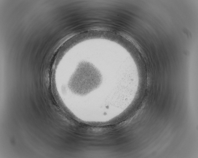 X0000112870829200910021331