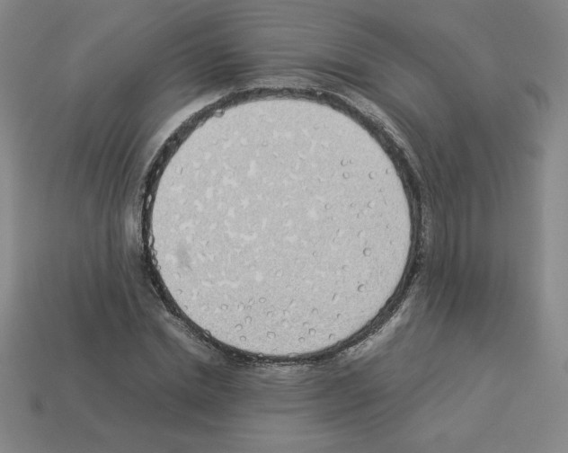 X0000112870830200910021331