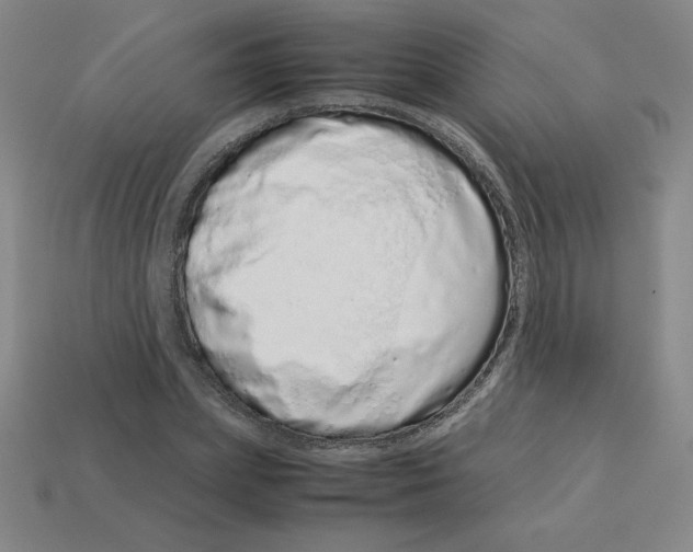 X0000112870831200910021331