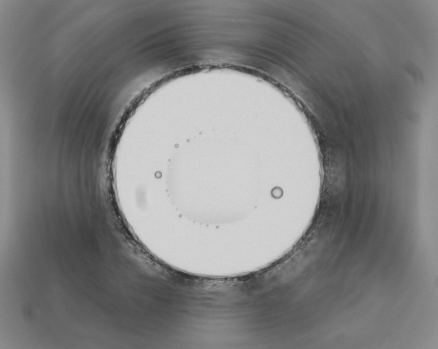 X0000112870832200910021331